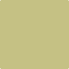 Benjamin Moore's 2147-40 Dill Pickle Paint Color