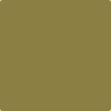 Benjamin Moore's 2149-10 Newt Green Paint Color