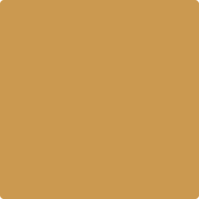 Benjamin Moore's 2160-30 Maple Sugar Paint Color
