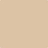 Benjamin Moore's 2162-50 Arizona Tan Paint Color