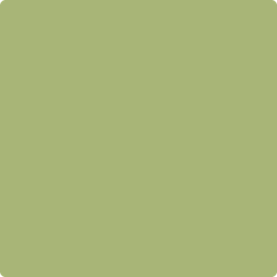 538 Vienna Green by Benjamin Moore | Ricciardi Brothers