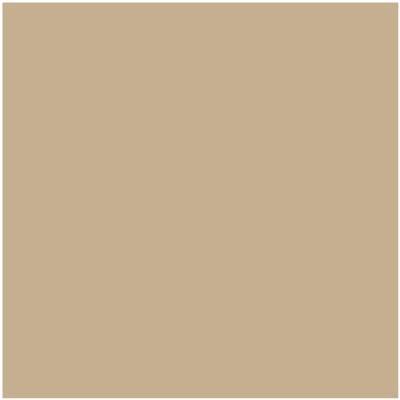 Benjamin Moore Color HC-44 Lenox Tan