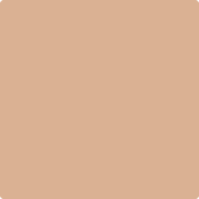 Benjamin Moore's AF-205 Serendipity | Ricciardi Brothers