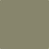 Benjamin Moore Color CC-694 Tapenade